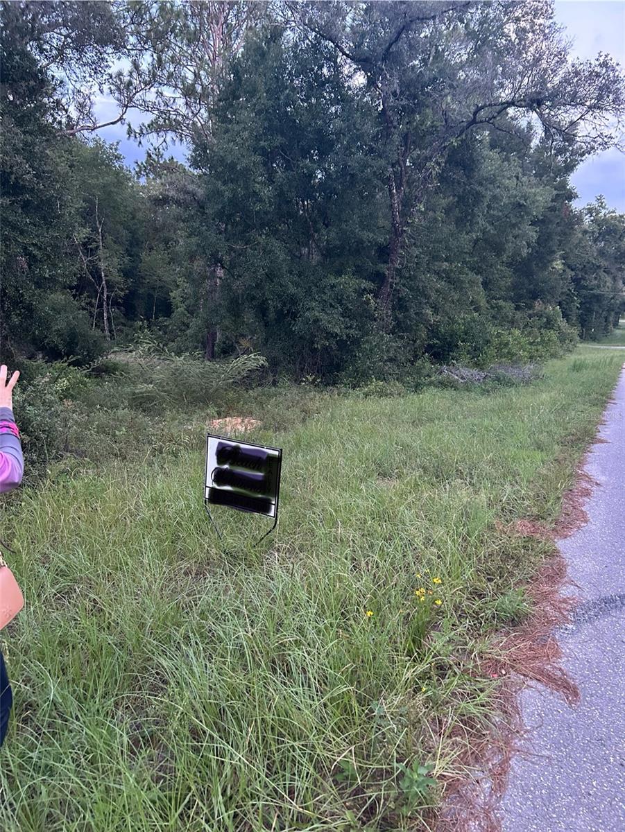 Lot 20 NE 155TH CT, WILLISTON, FL — photo 5