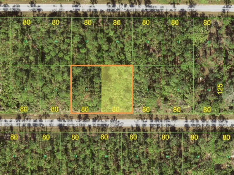 12072 & 12080 FOURNIER AVE, PORT CHARLOTTE, FL