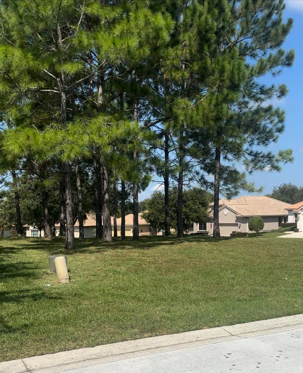 994 W SILVER MEADOW LOOP, HERNANDO, FL