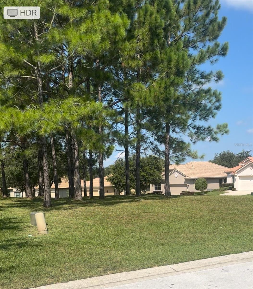 994 W SILVER MEADOW LOOP, HERNANDO, FL — photo 2