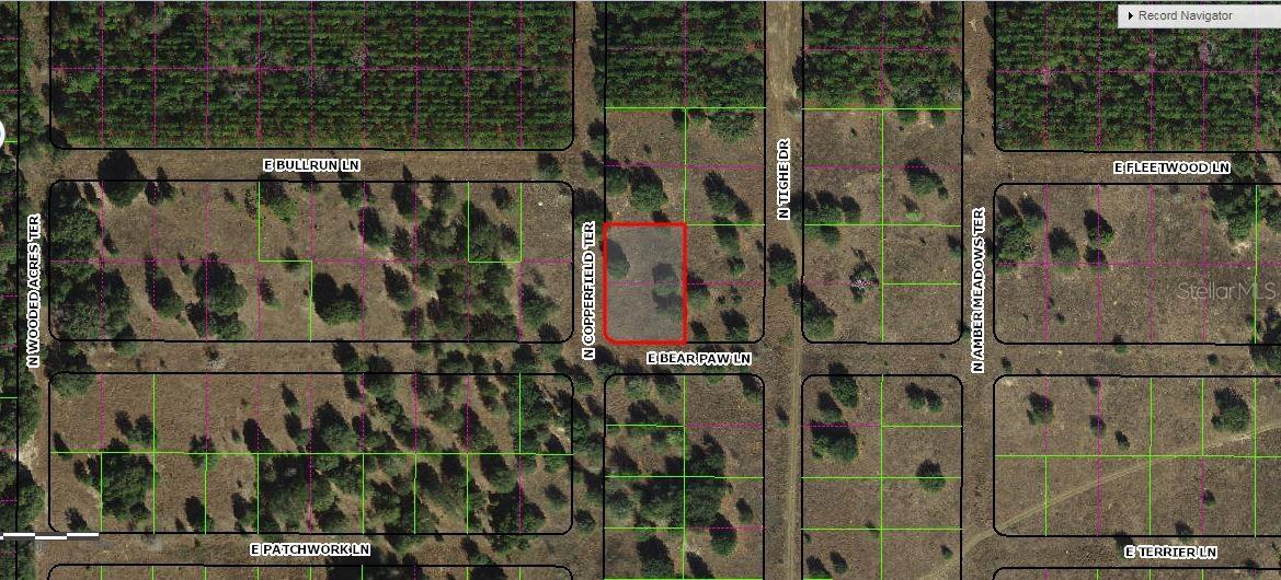 229 N COPPERFIELD TER, INVERNESS, FL