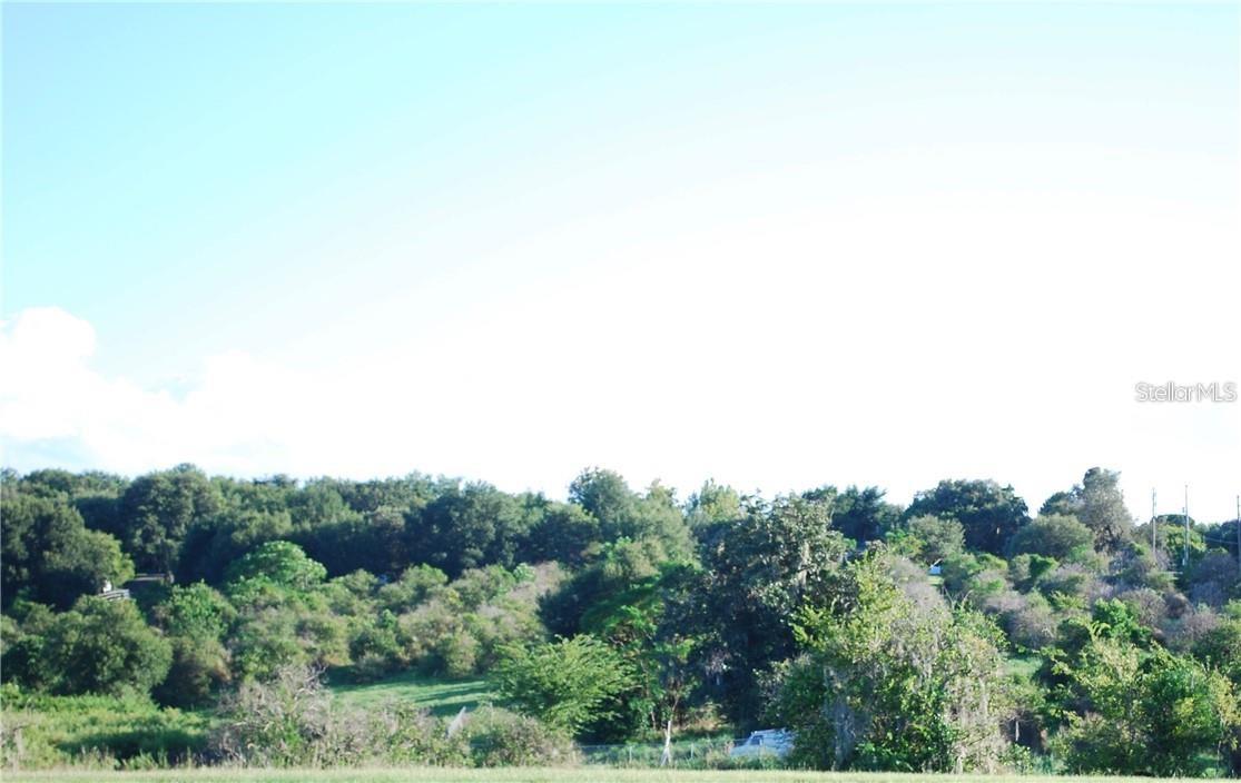 CR-455, SEVENTH, MONTVERDE, FL