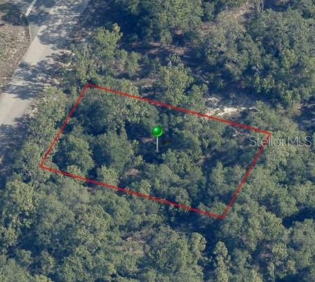 9541 N WALLACE WAY, CITRUS SPRINGS, FL
