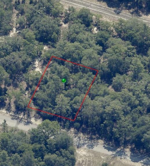 9541 N WALLACE WAY, CITRUS SPRINGS, FL — photo 3