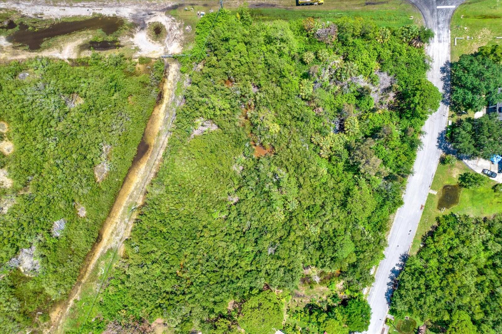OSCEOLA CT NE, ST PETERSBURG, FL — photo 10