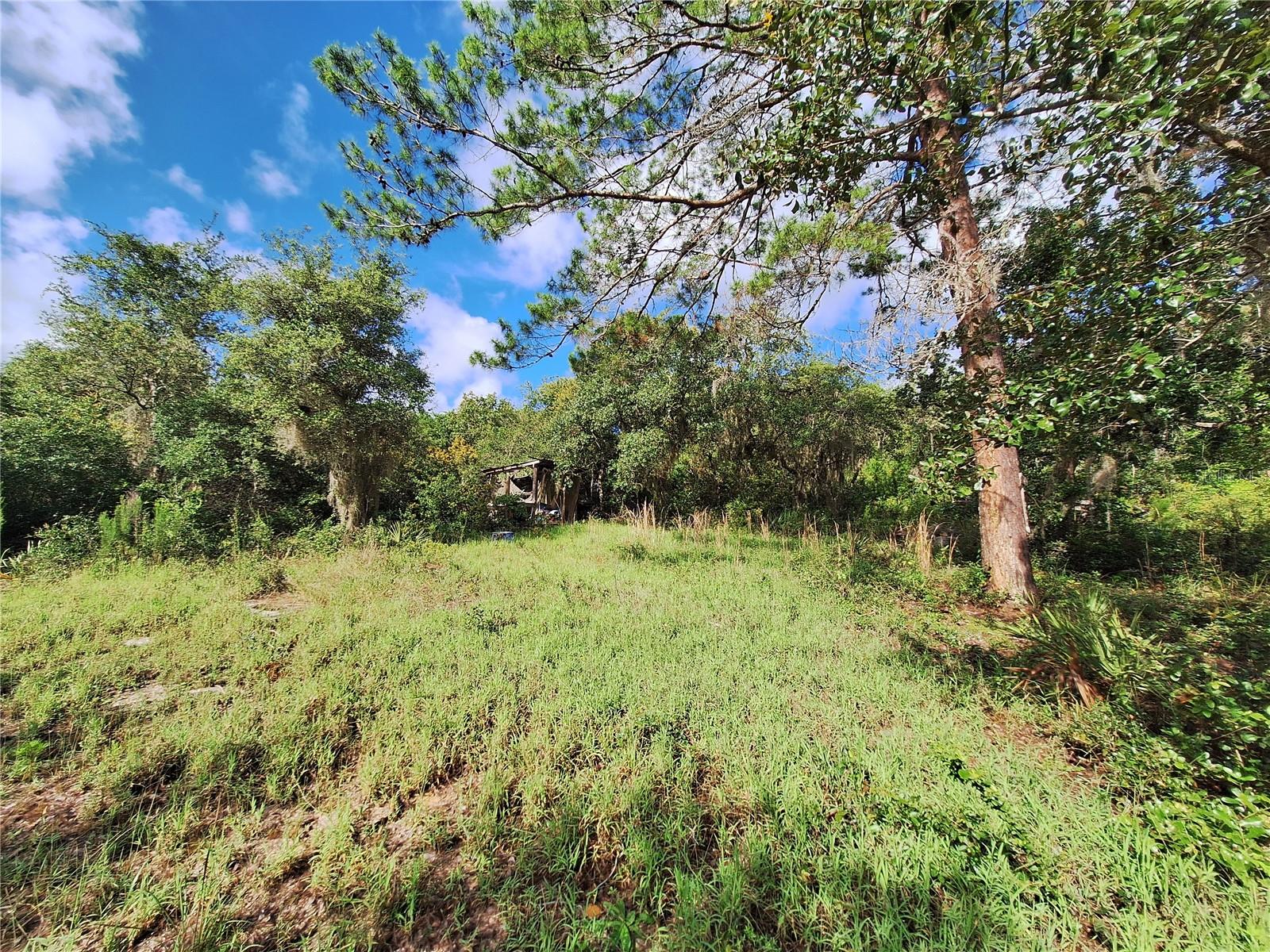 0 NE 135TH ST, FORT MC COY, FL — photo 2