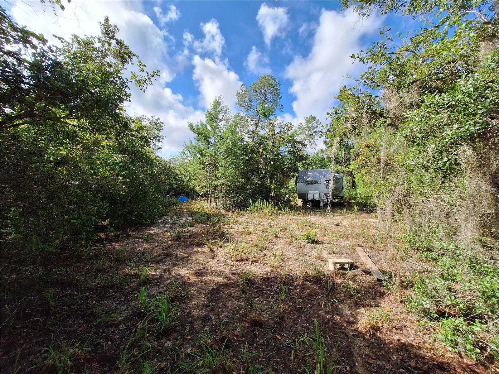 0 NE 135TH ST, FORT MC COY, FL — photo 3