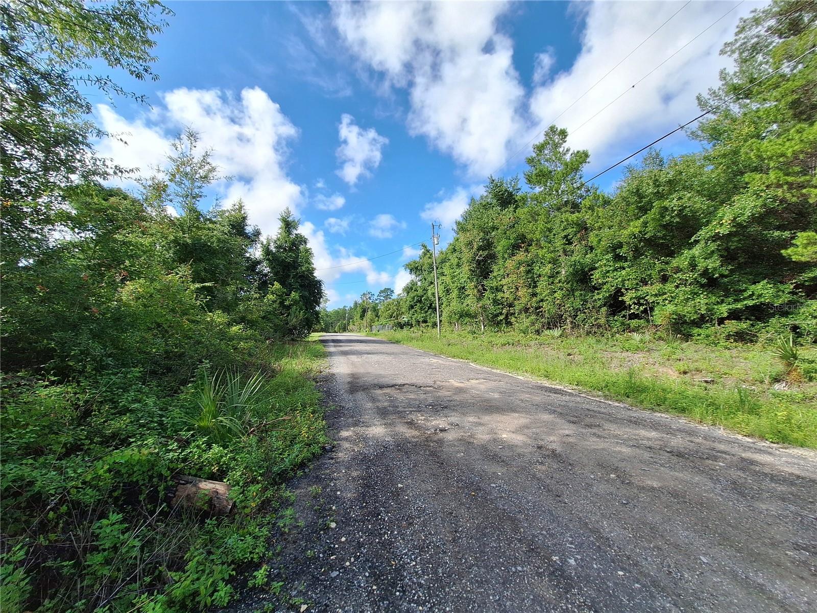 0 NE 135TH ST, FORT MC COY, FL — photo 4