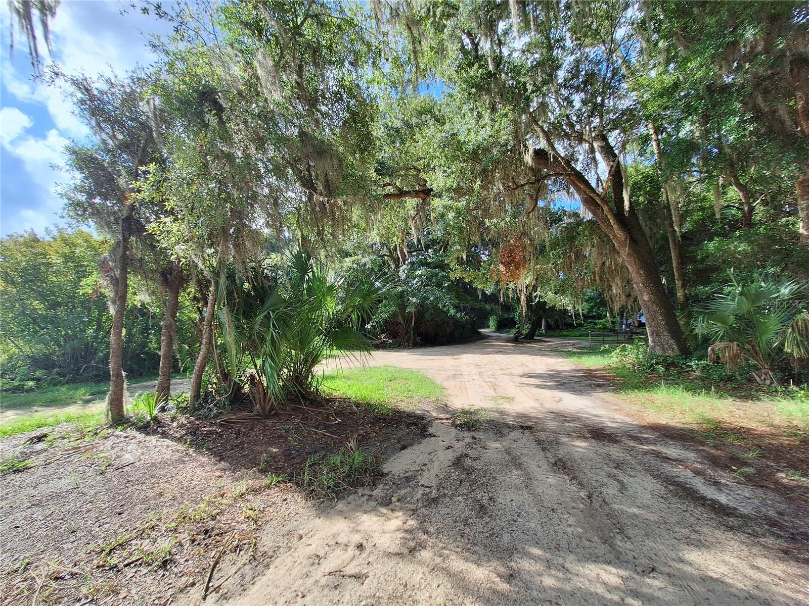 0 NE 135TH ST, FORT MC COY, FL — photo 15