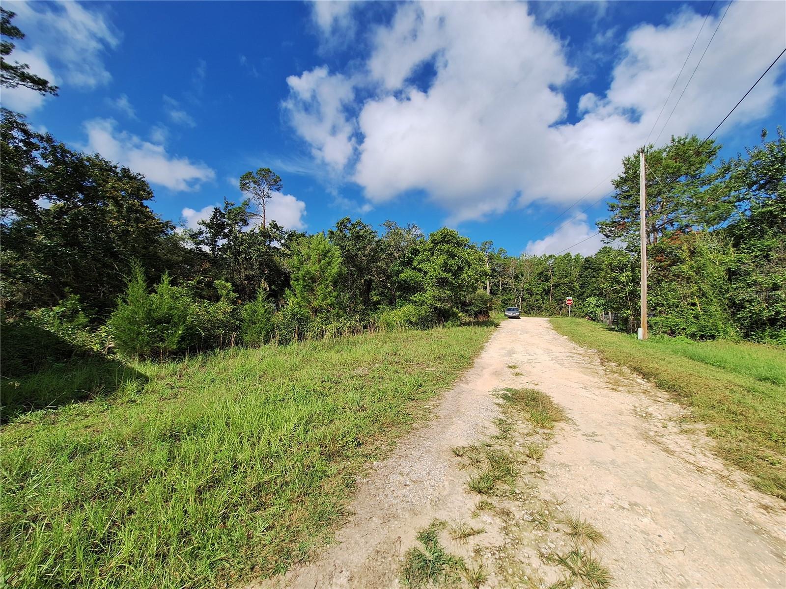 0 NE 135TH ST, FORT MC COY, FL — photo 18
