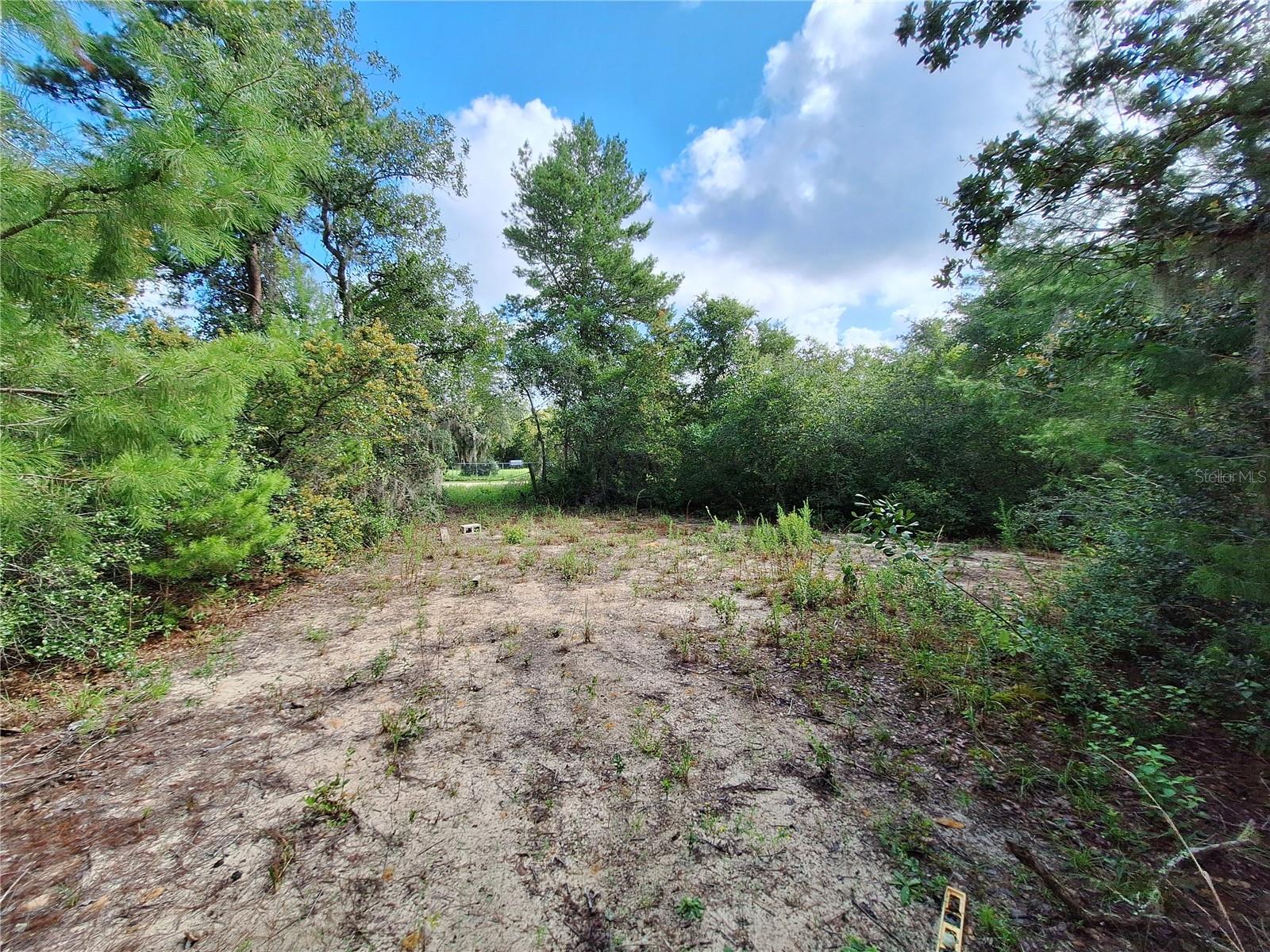 0 NE 135TH ST, FORT MC COY, FL — photo 20