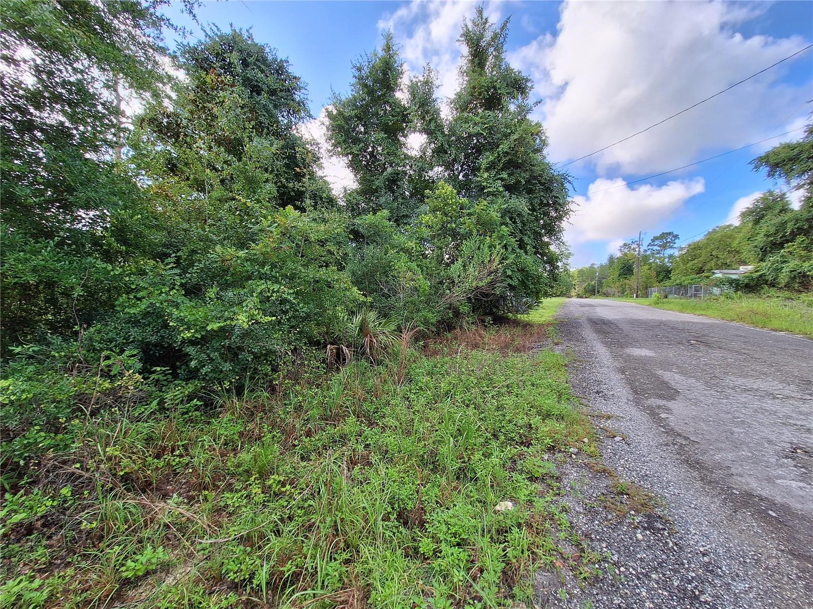0 NE 135TH ST, FORT MC COY, FL — photo 22