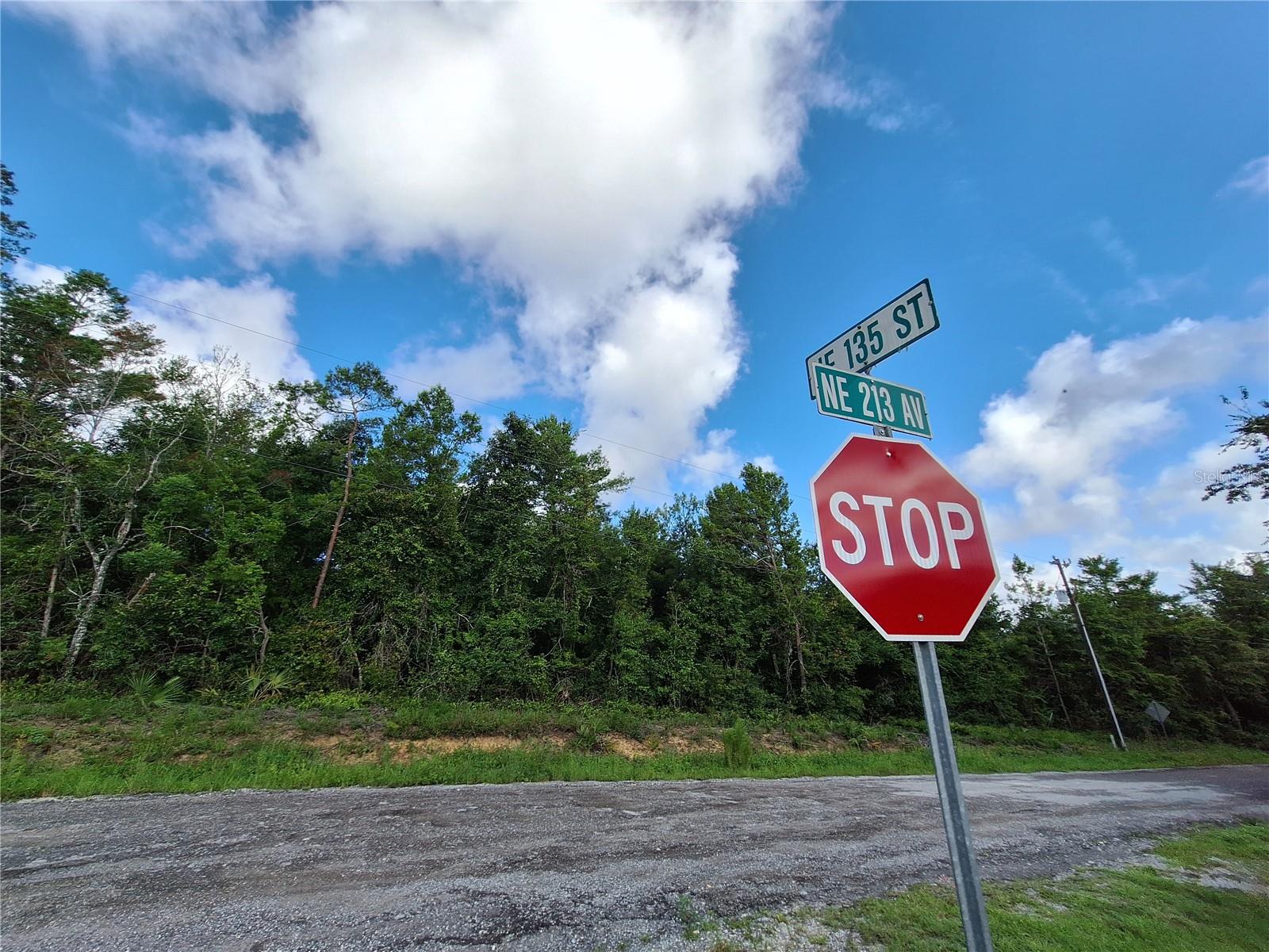 0 NE 135TH ST, FORT MC COY, FL — photo 23