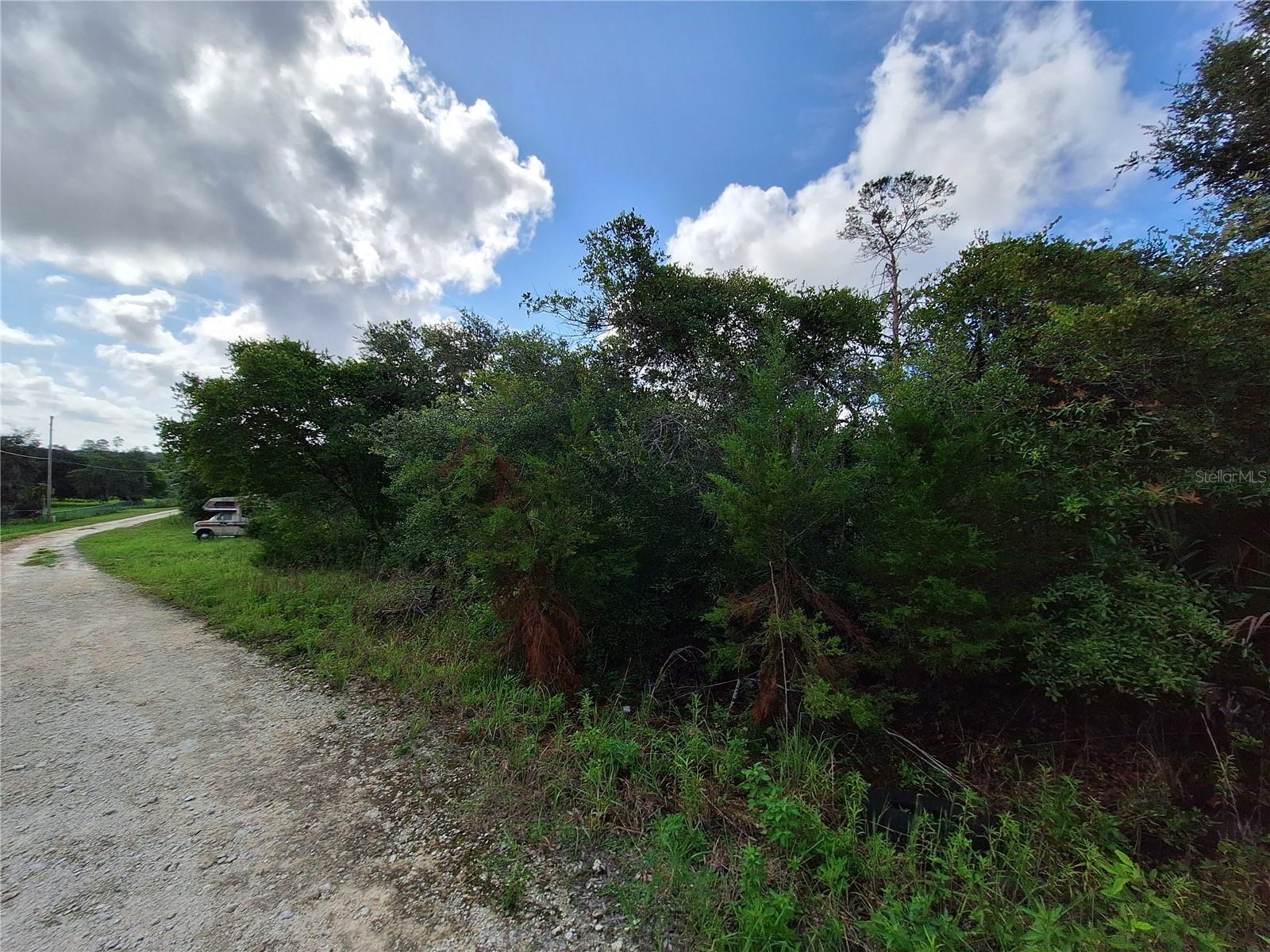 0 NE 135TH ST, FORT MC COY, FL — photo 24