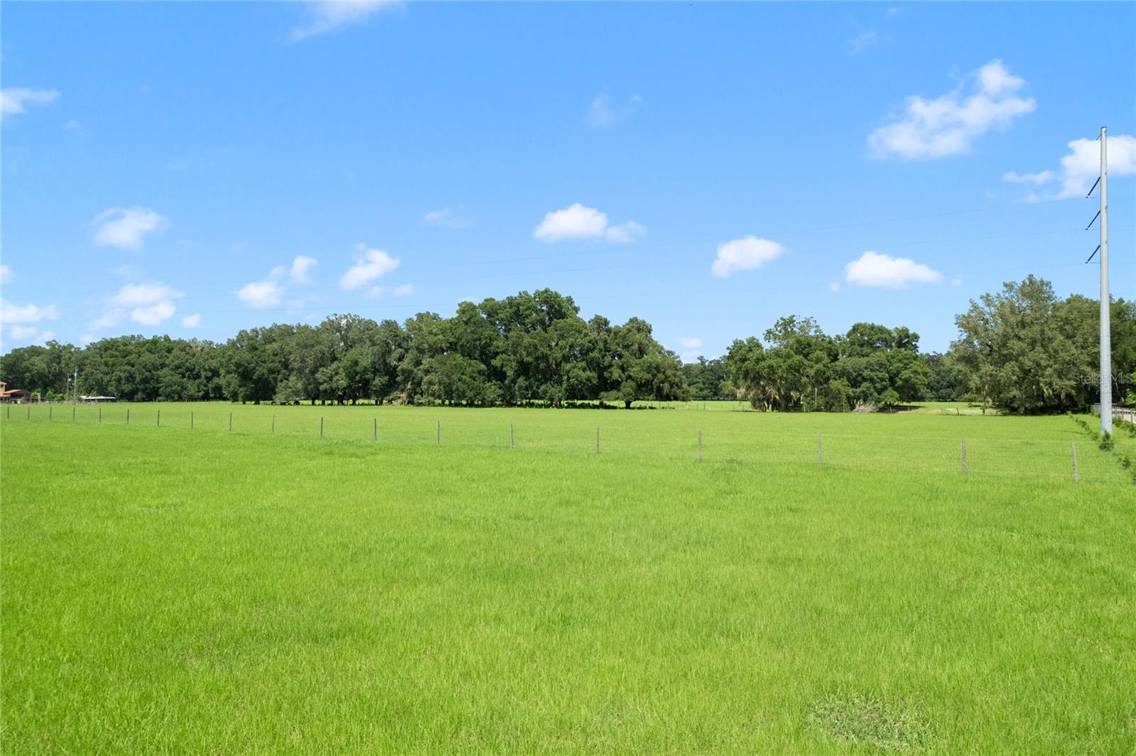 CR 552, BUSHNELL, FL — photo 19