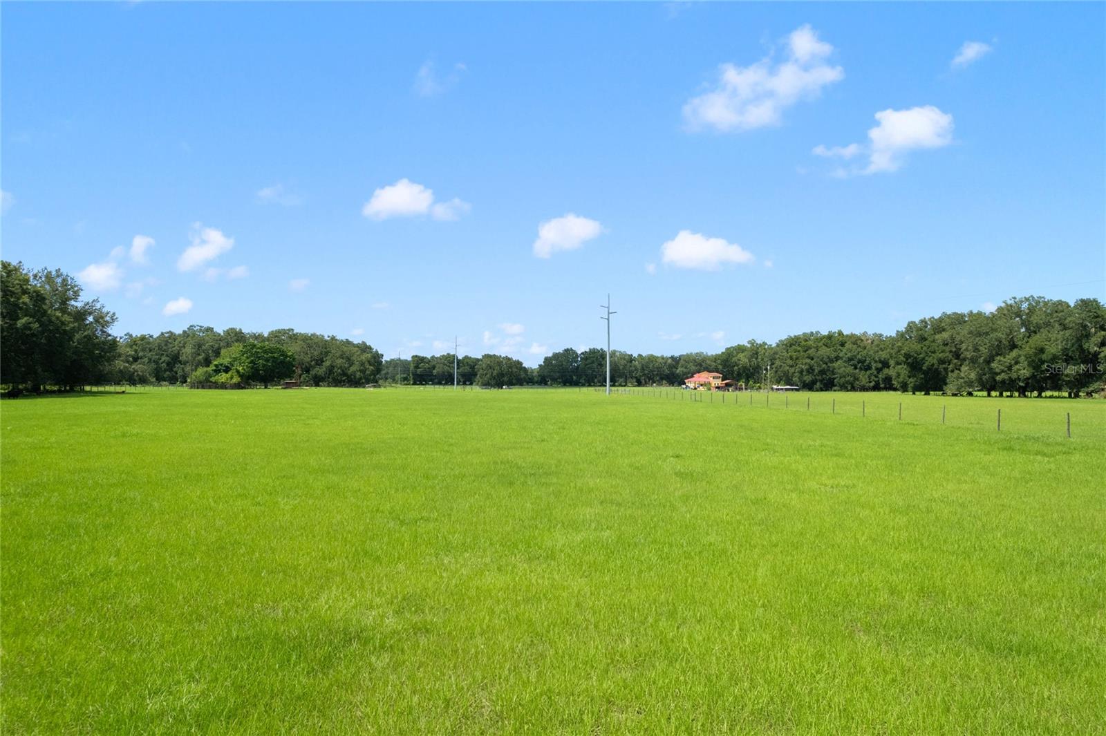 CR 552, BUSHNELL, FL — photo 20