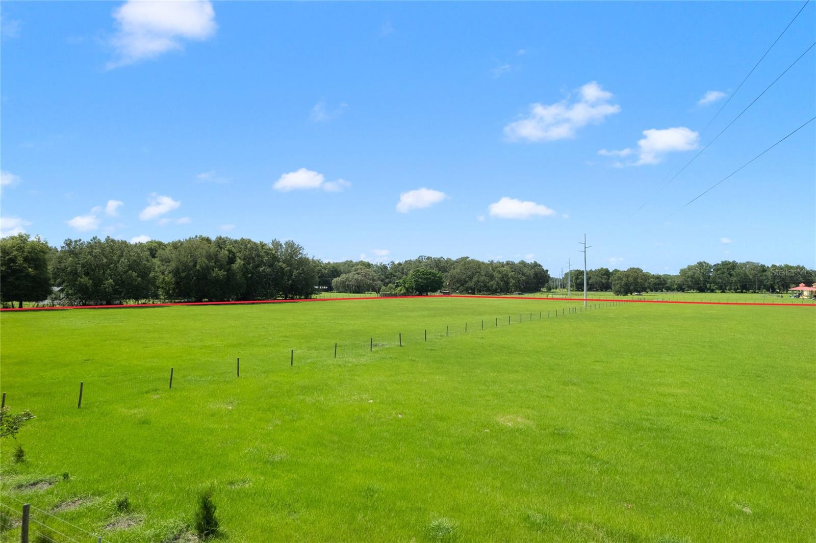 CR 552, BUSHNELL, FL — photo 21