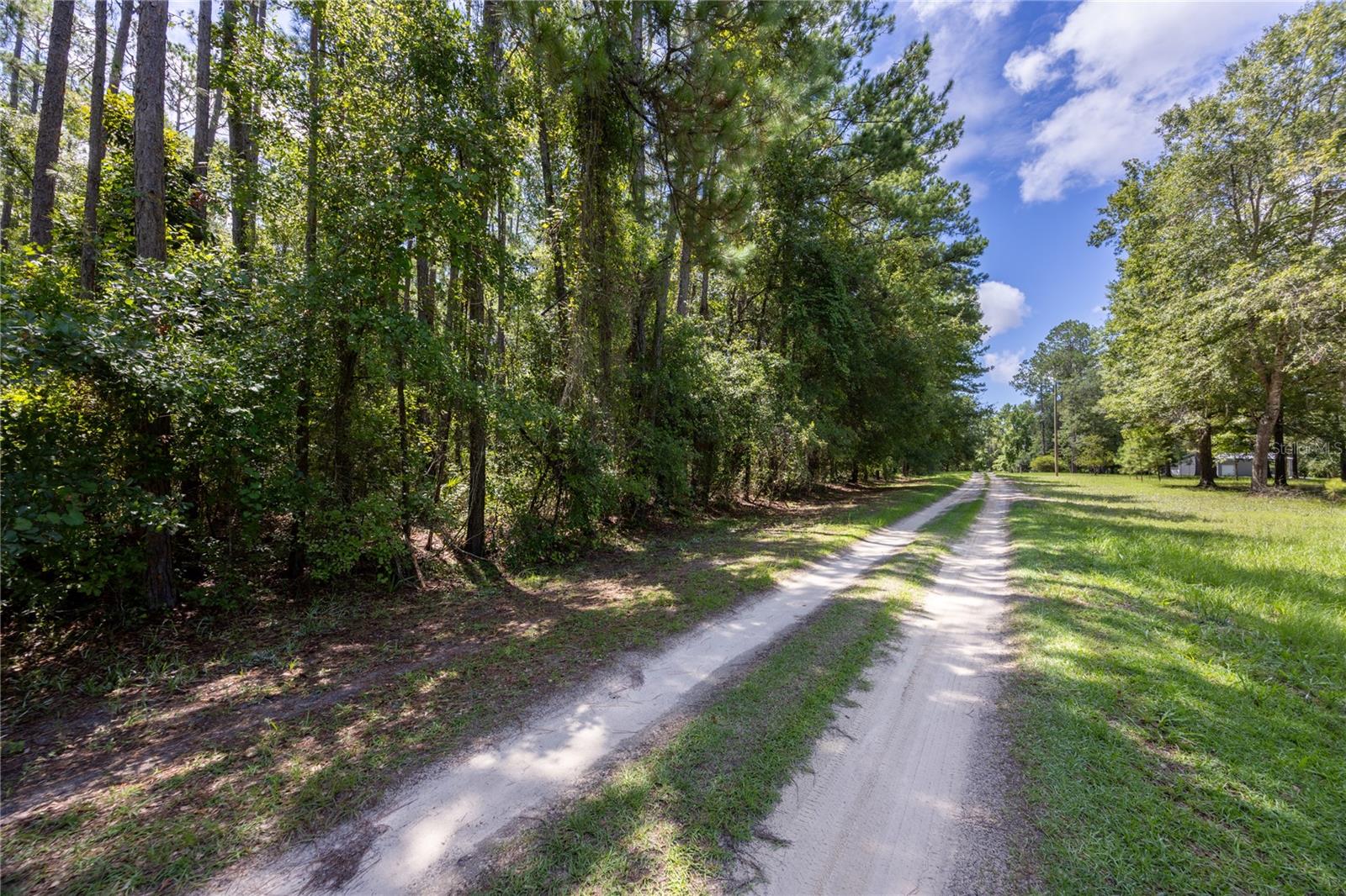0 SE HAWTHORNE RD, HAWTHORNE, FL — photo 3