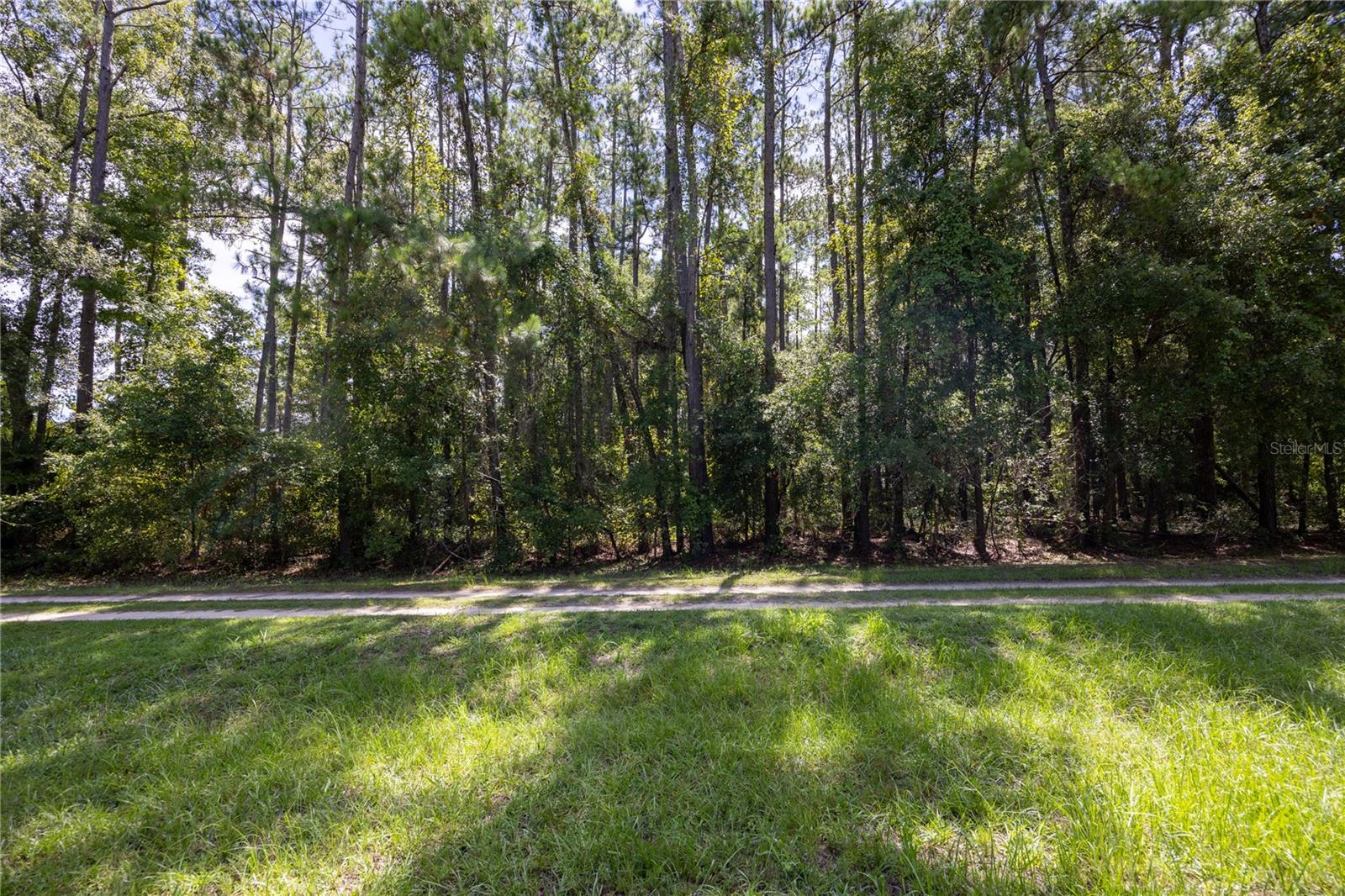 0 SE HAWTHORNE RD, HAWTHORNE, FL — photo 4