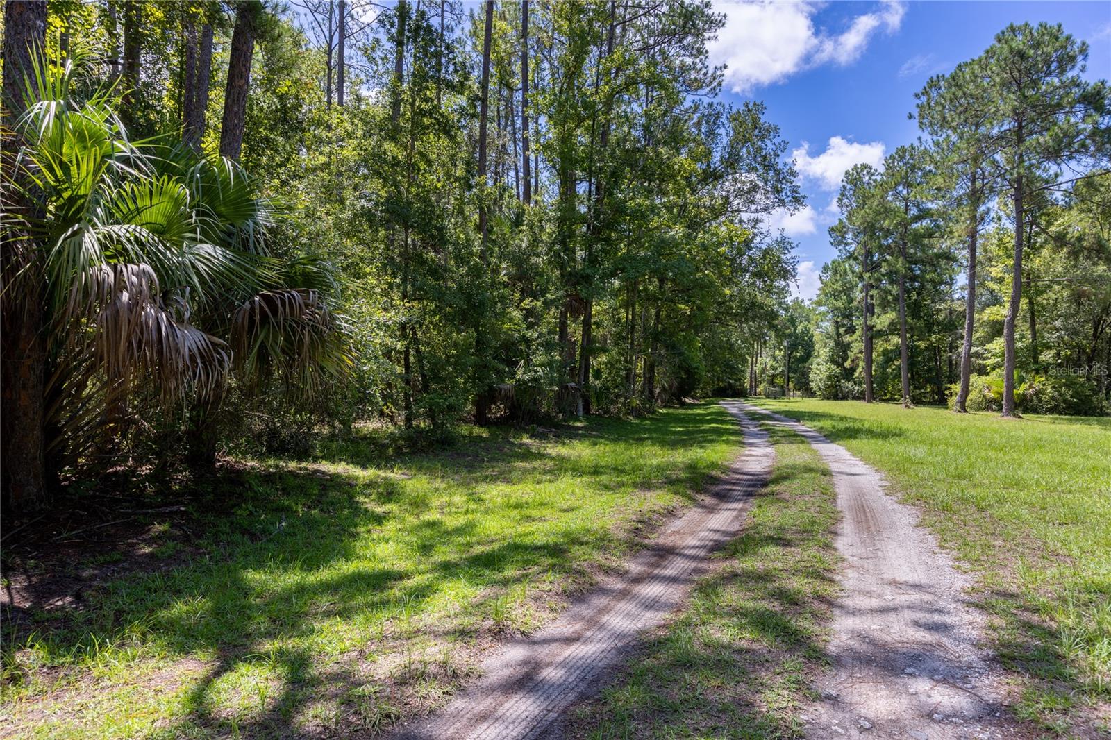 0 SE HAWTHORNE RD, HAWTHORNE, FL — photo 7