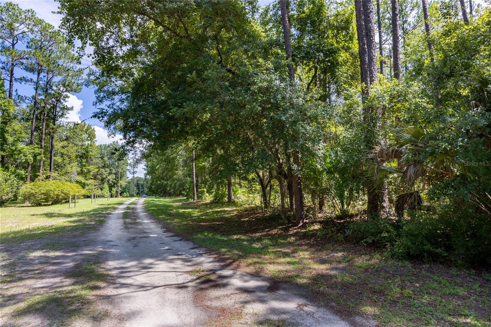 0 SE HAWTHORNE RD, HAWTHORNE, FL — photo 10
