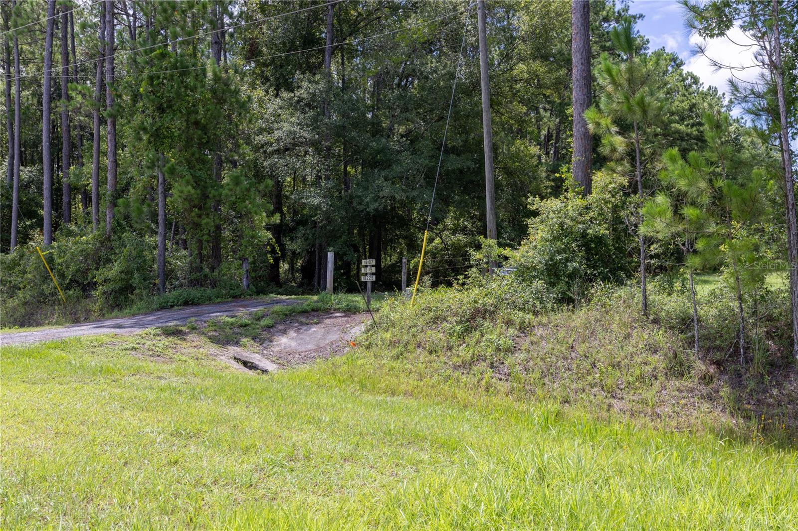 0 SE HAWTHORNE RD, HAWTHORNE, FL — photo 11