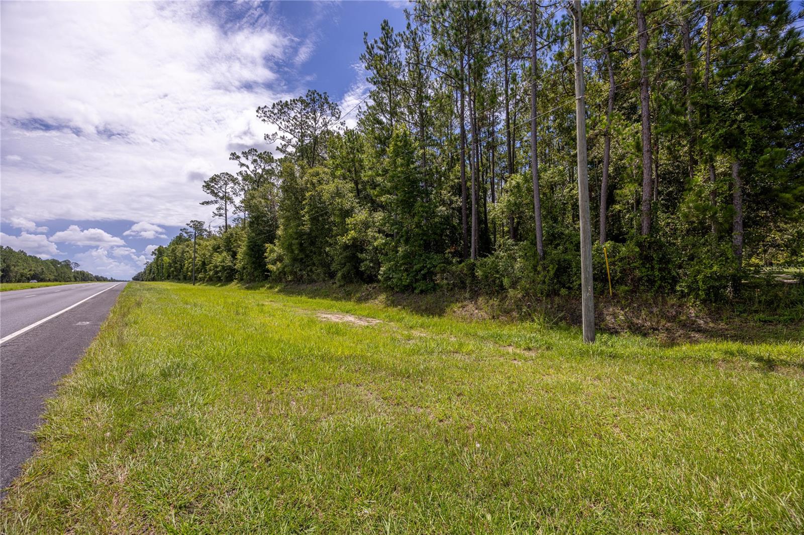 0 SE HAWTHORNE RD, HAWTHORNE, FL — photo 12