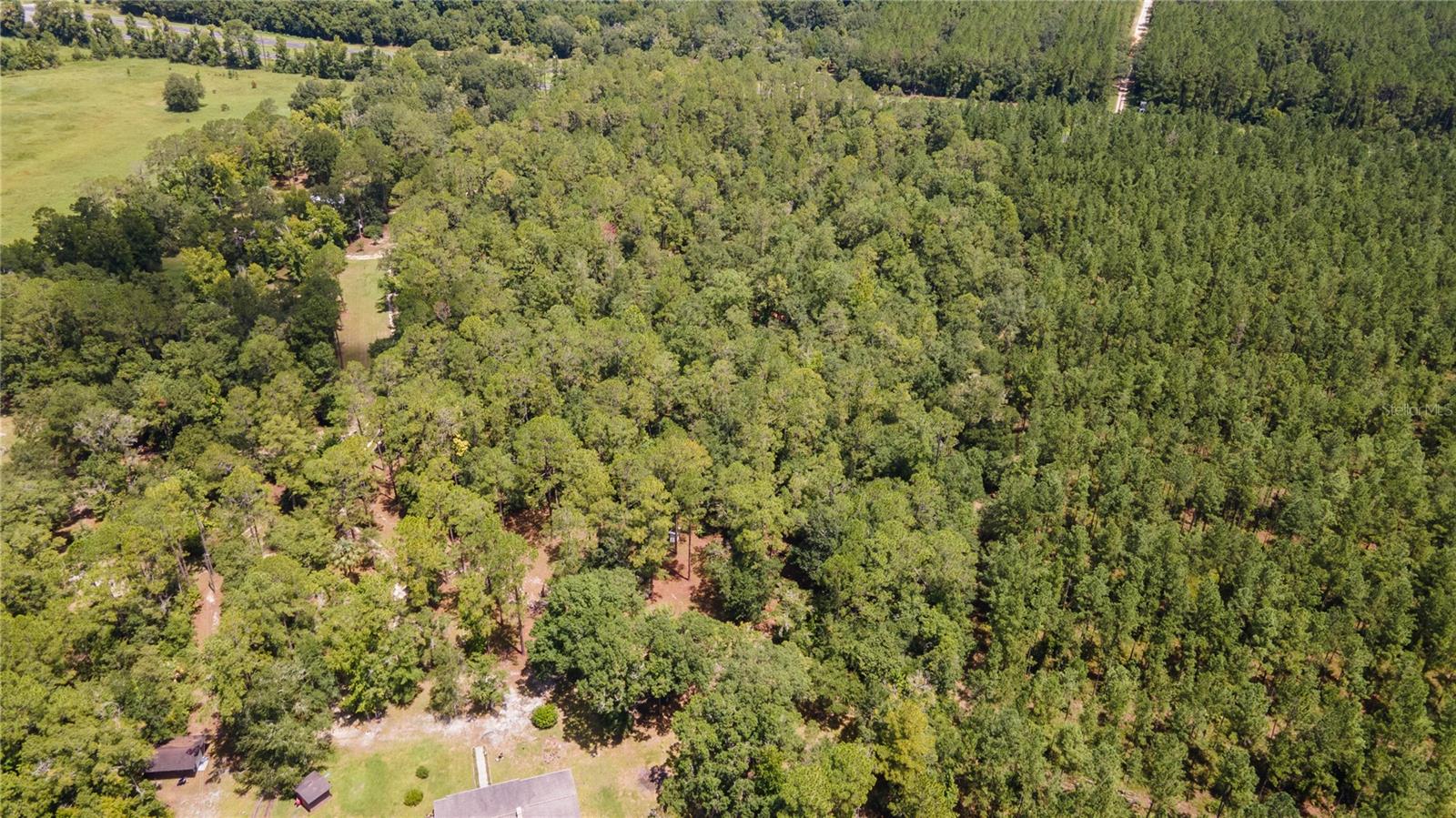0 SE HAWTHORNE RD, HAWTHORNE, FL — photo 18