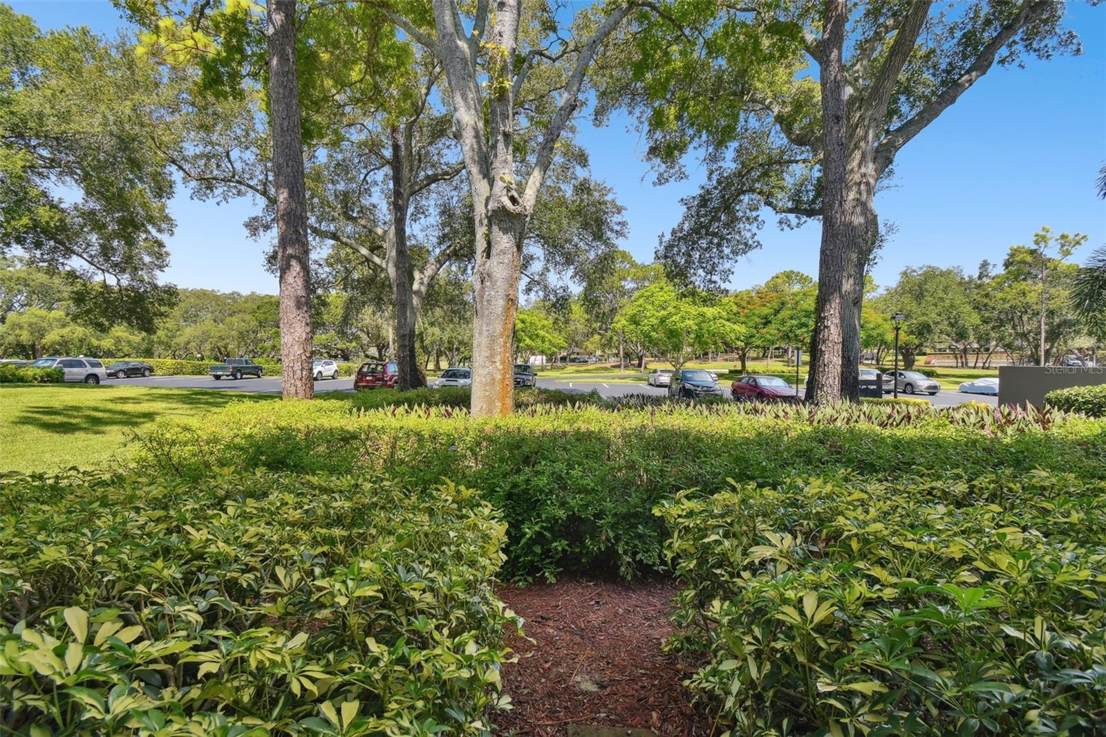 36750 US HIGHWAY 19 #23-110, PALM HARBOR, FL — photo 27