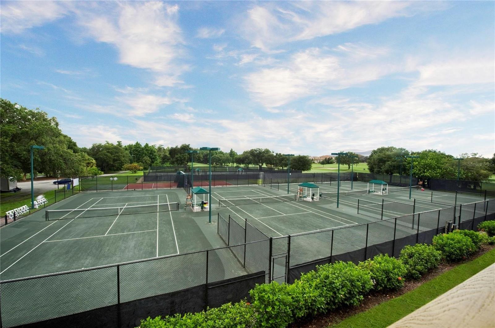 36750 US HIGHWAY 19 #23-110, PALM HARBOR, FL — photo 42