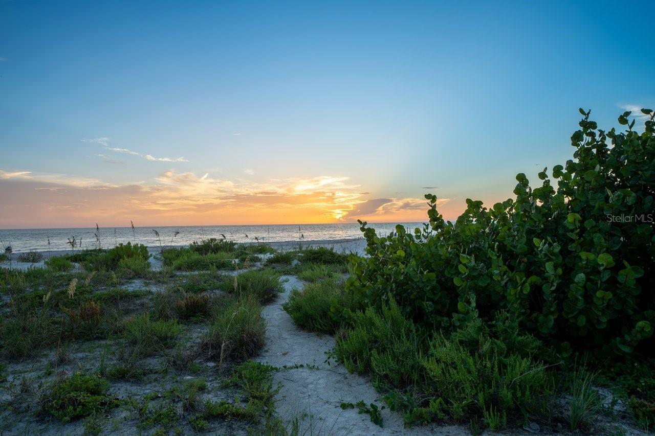 20051 GULF BLVD, INDIAN SHORES, FL — photo 76