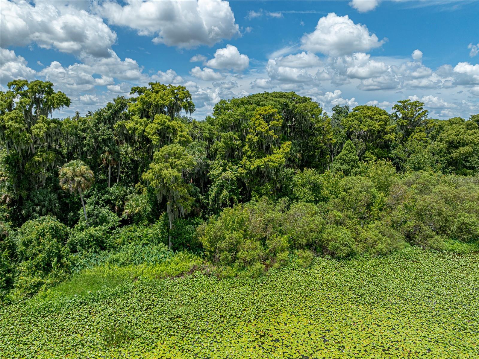 0 TIMBERLANE RD, LAKE WALES, FL — photo 18