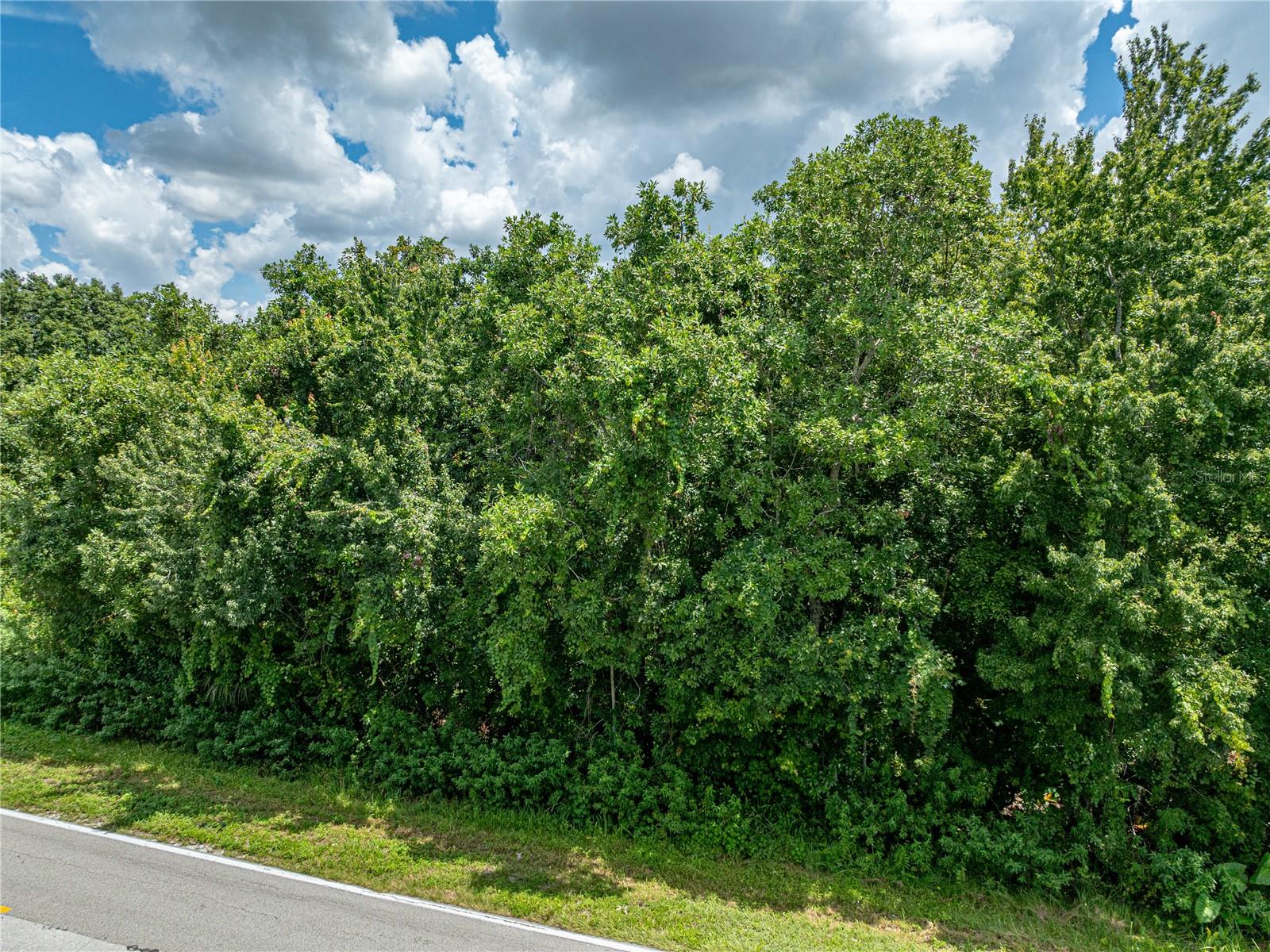 0 TIMBERLANE RD, LAKE WALES, FL — photo 22