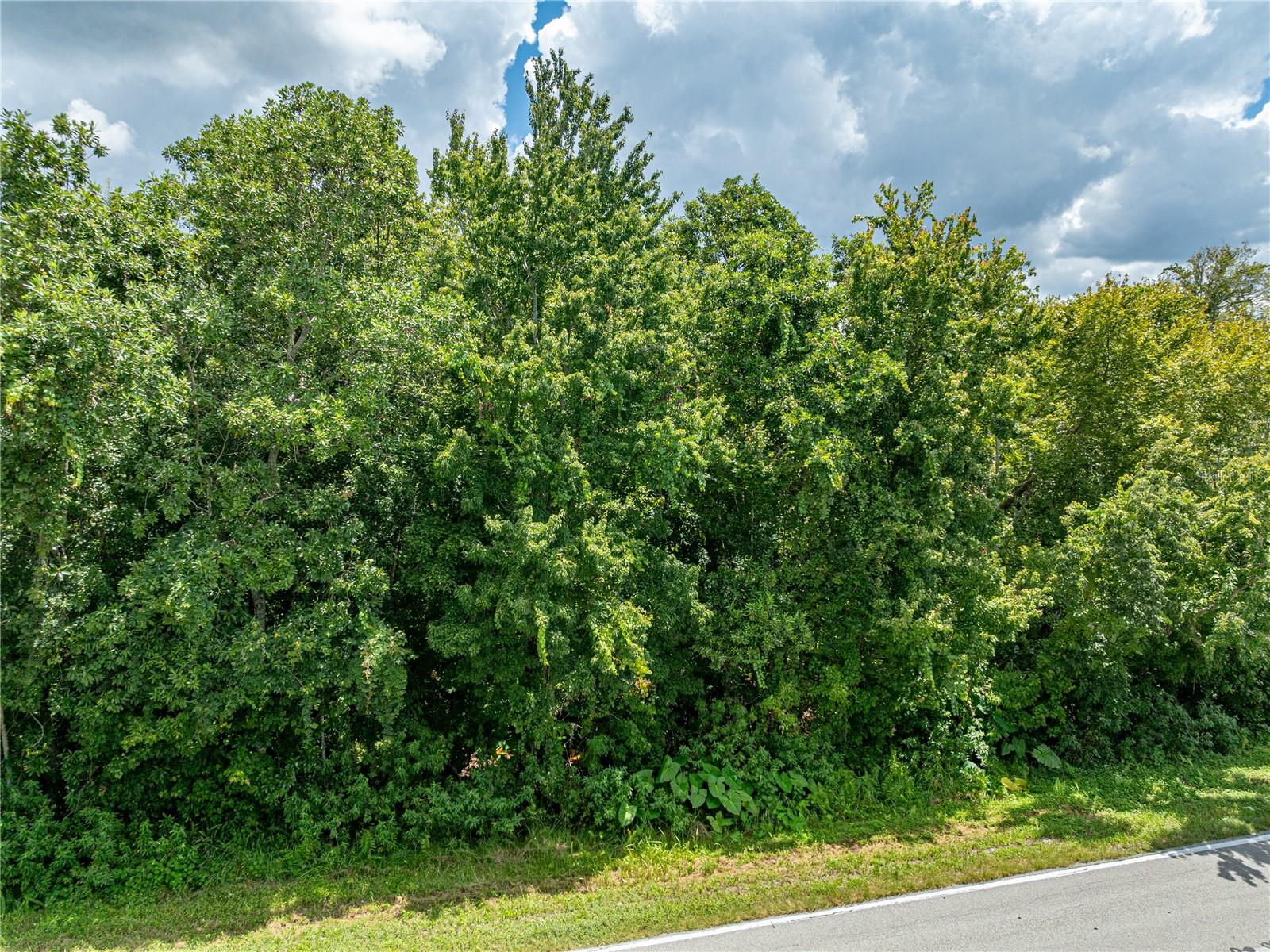 0 TIMBERLANE RD, LAKE WALES, FL — photo 23