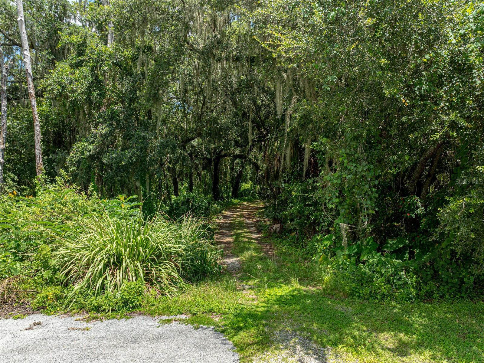 0 TIMBERLANE RD, LAKE WALES, FL — photo 25