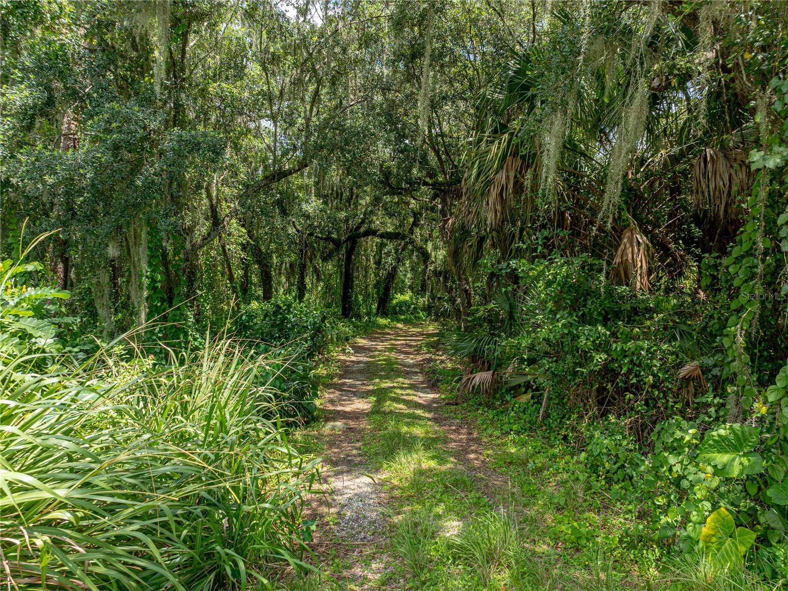 0 TIMBERLANE RD, LAKE WALES, FL — photo 26