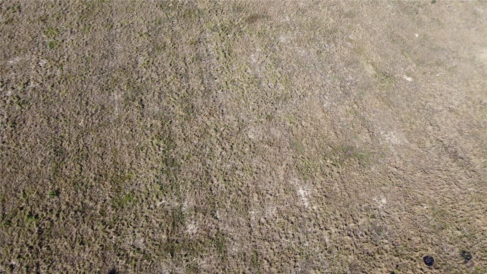 1615 EO DOUGLAS AVE, SEBRING, FL — photo 6