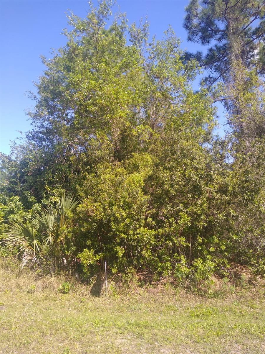 306 MCDILL DR, PORT CHARLOTTE, FL