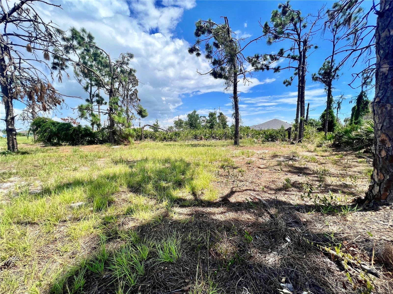 228 FAIRWAY RD, ROTONDA WEST, FL