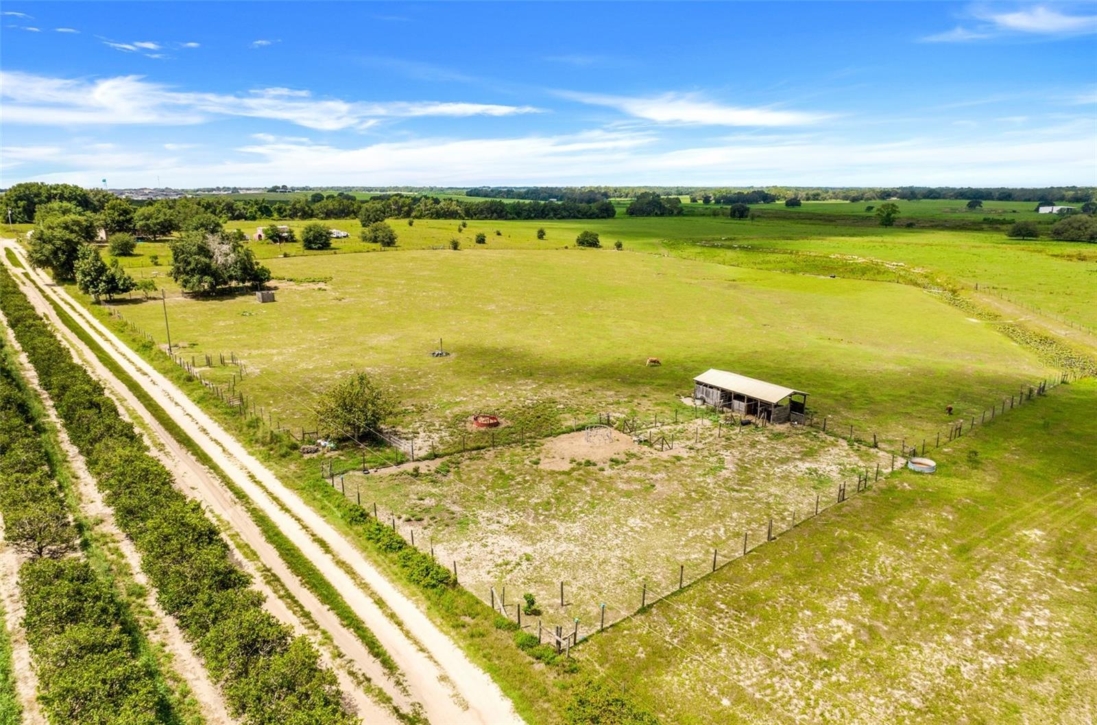 SMITH RD, GROVELAND, FL — photo 14