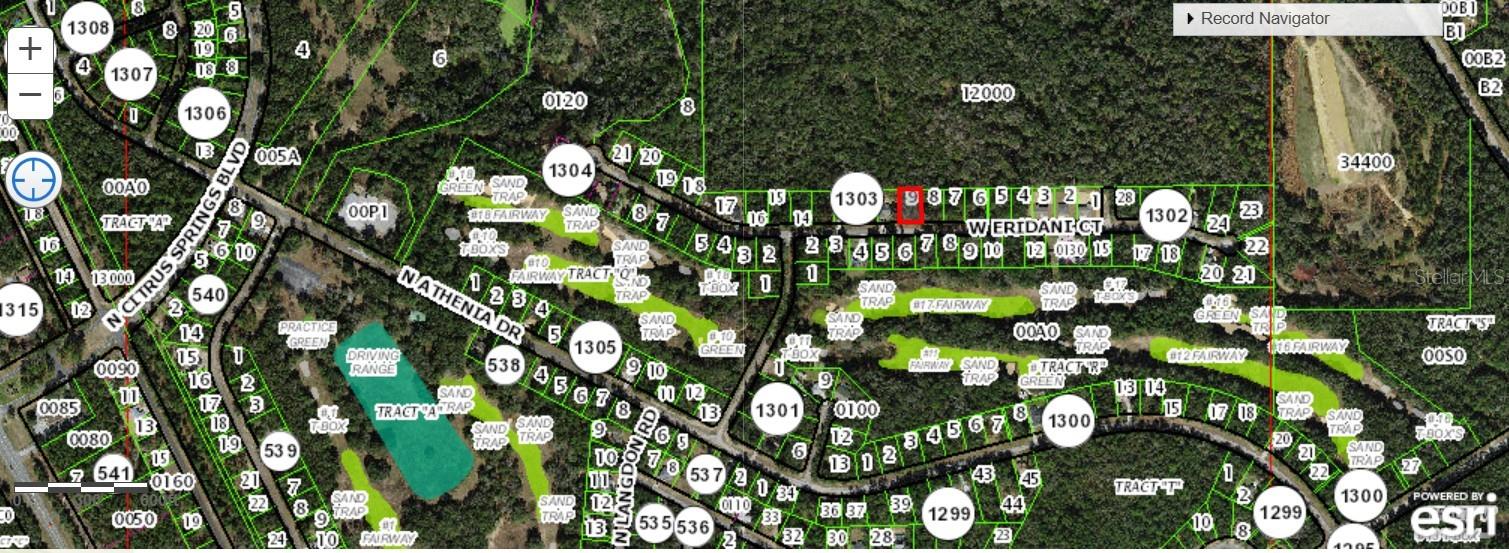 325 W ERIDANI CT, CITRUS SPRINGS, FL — photo 8