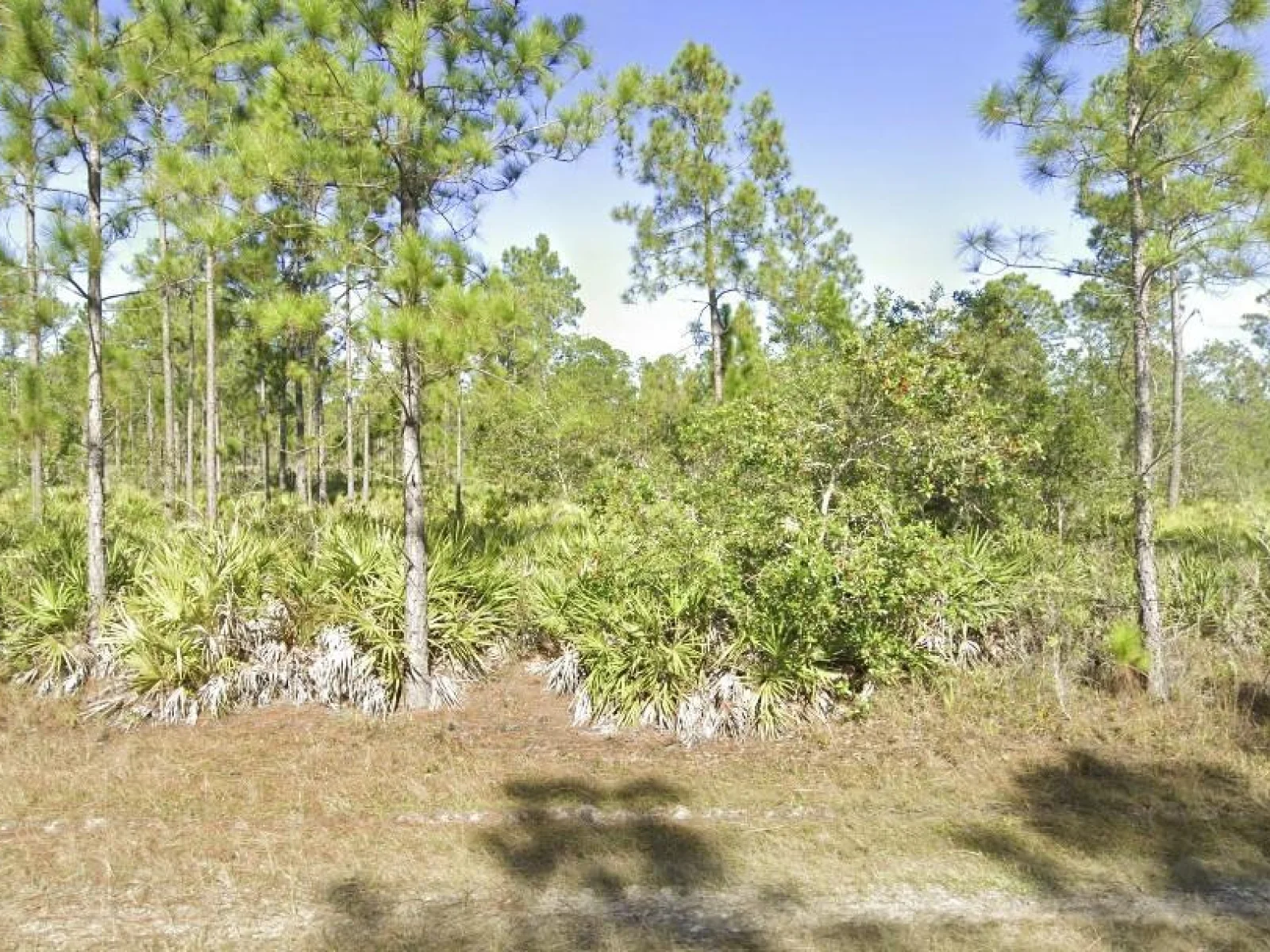 820 & 822 PORTULACA DR, INDIAN LAKE ESTATES, FL — photo 1