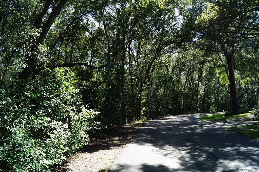 3505 N WOODGATE DR, BEVERLY HILLS, FL