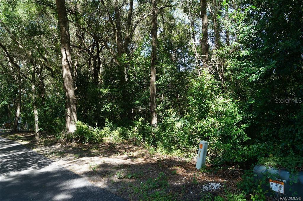 3505 N WOODGATE DR, BEVERLY HILLS, FL — photo 4
