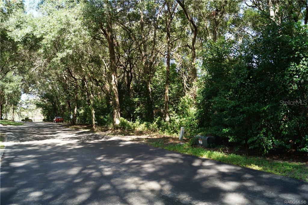 3505 N WOODGATE DR, BEVERLY HILLS, FL — photo 5
