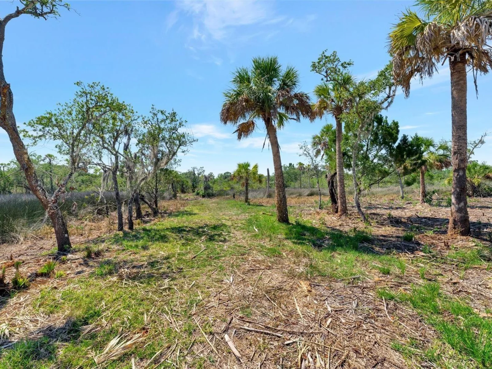 0 JAPONICA CT, NEW PORT RICHEY, FL — photo 28
