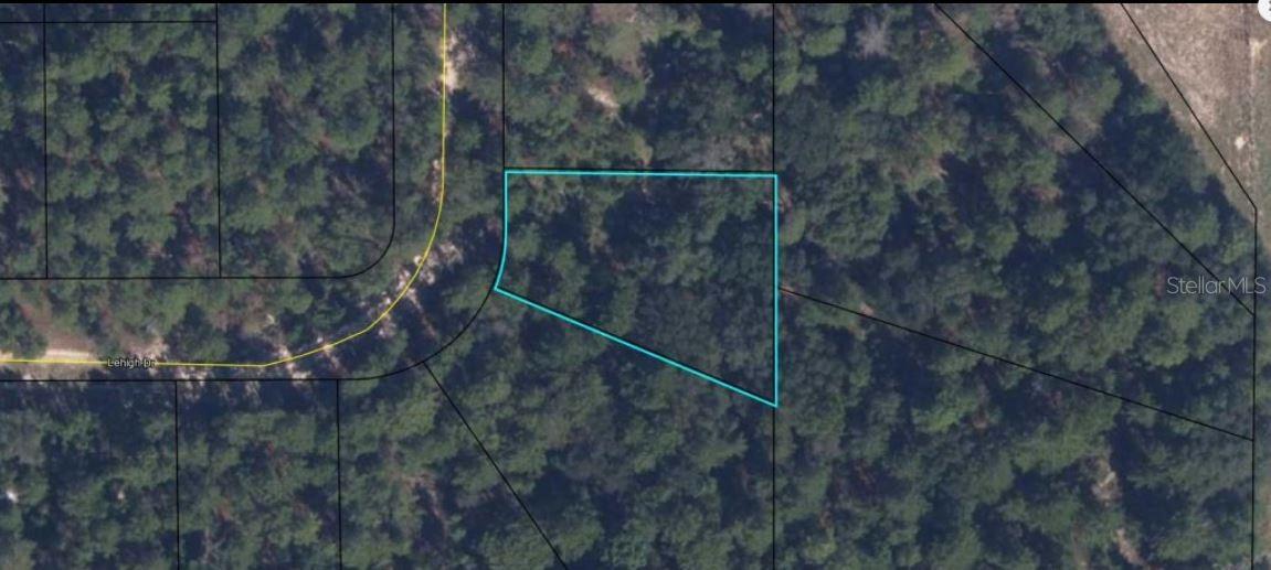 7231 LEHIGH DR, KEYSTONE HEIGHTS, FL — photo 3