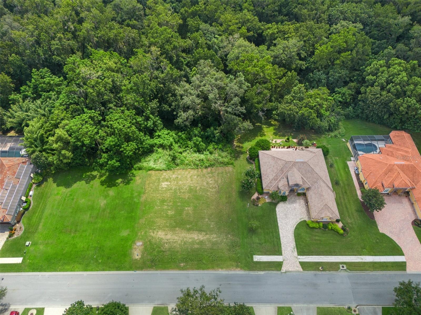 13208 TRADITION DR, DADE CITY, FL — photo 8