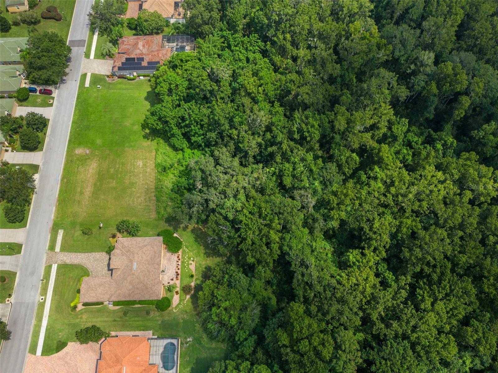 13208 TRADITION DR, DADE CITY, FL — photo 15