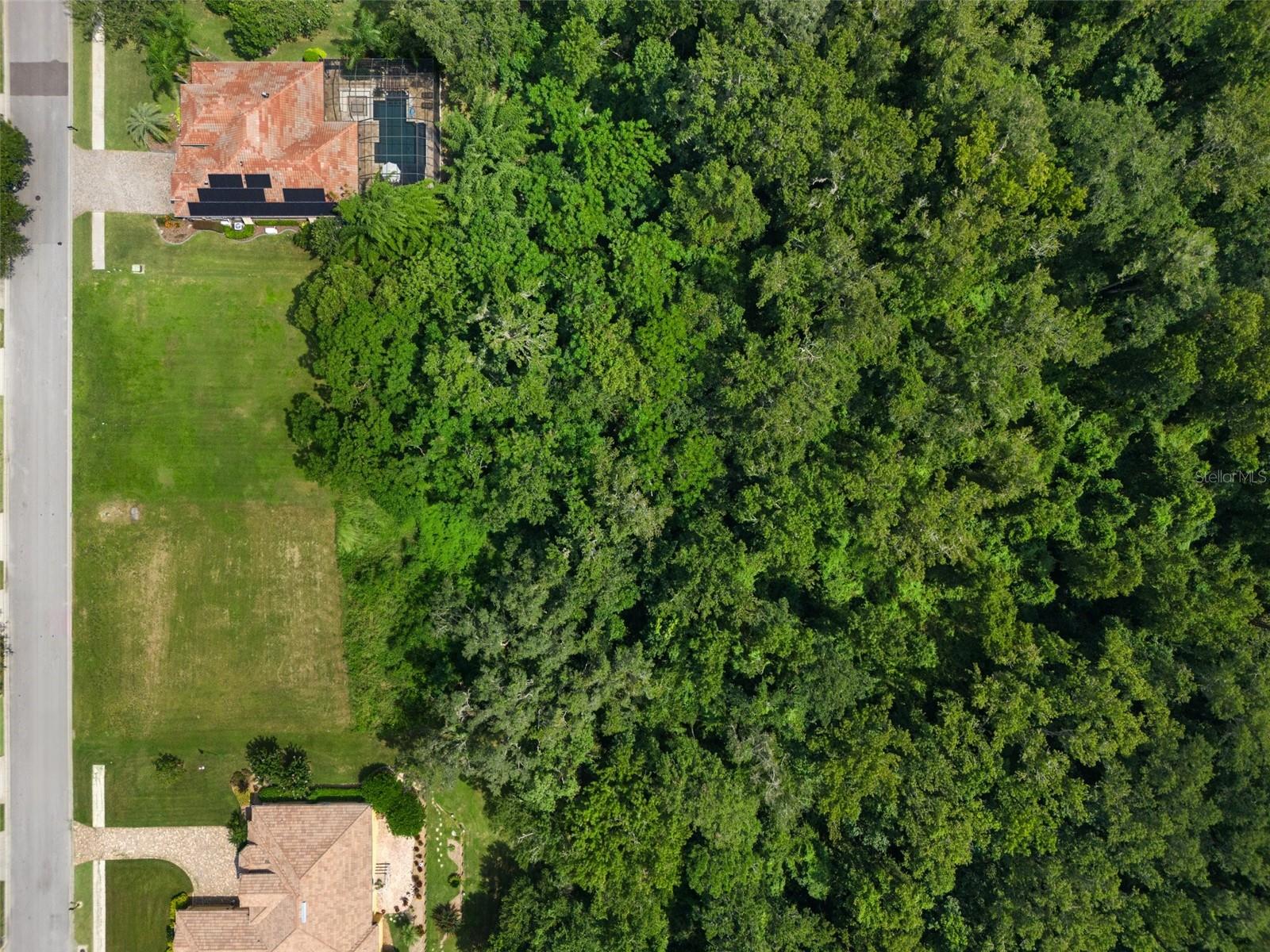 13208 TRADITION DR, DADE CITY, FL — photo 17